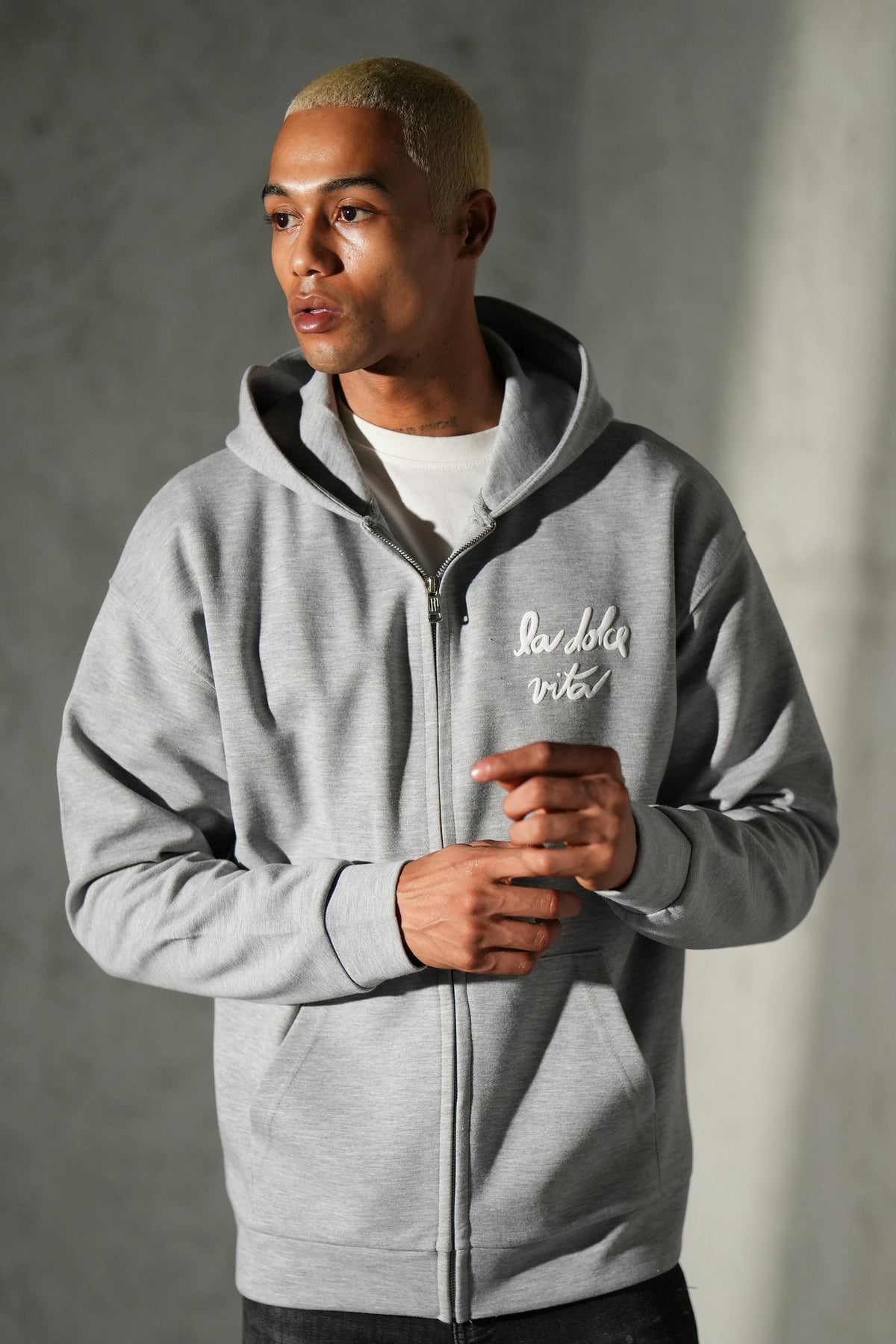Zip hoodie dolce